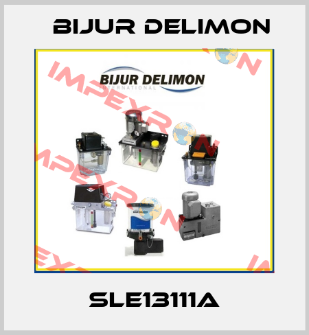 SLE13111A Bijur Delimon