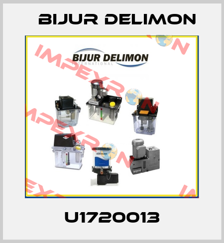 U1720013 Bijur Delimon