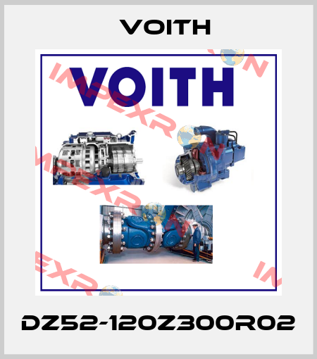 DZ52-120Z300R02 Voith