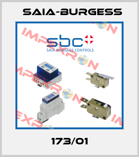 173/01 Saia-Burgess