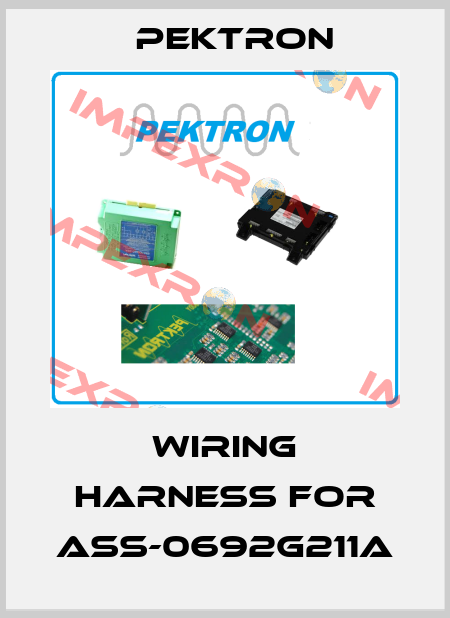 Wiring harness for ASS-0692G211A Pektron