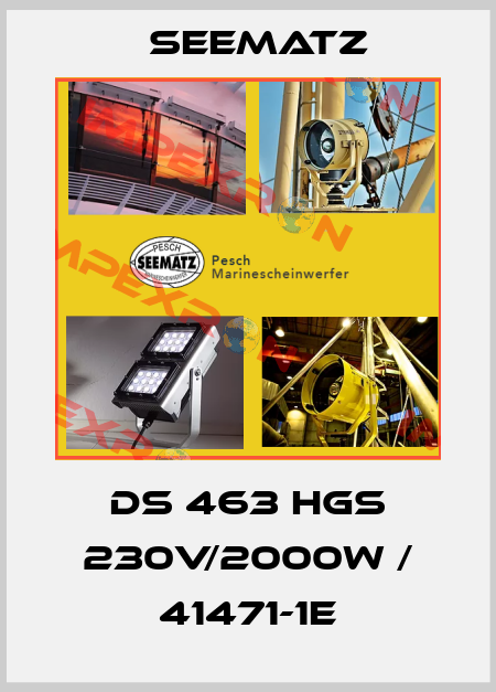 DS 463 HGS 230V/2000W / 41471-1E Seematz