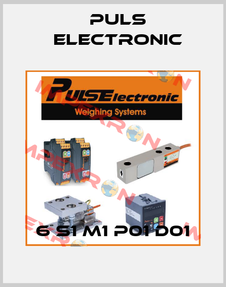 6 S1 M1 P01 D01 Puls Electronic