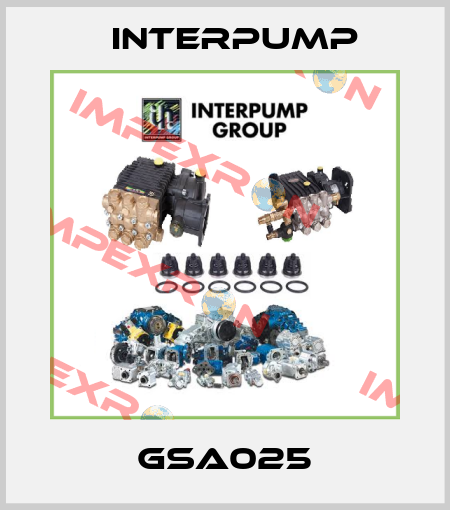 GSA025 Interpump