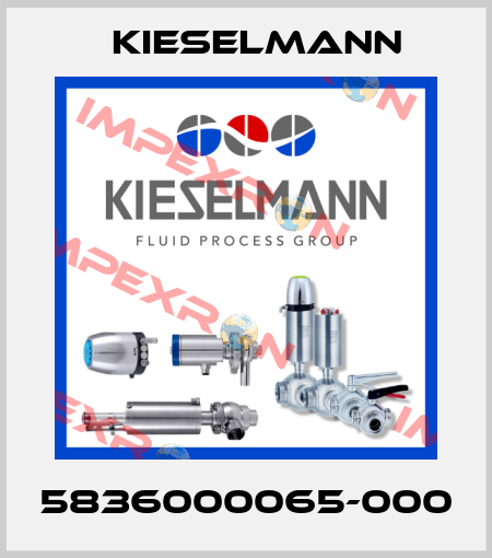 5836000065-000 Kieselmann