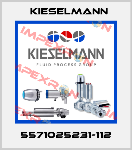 5571025231-112 Kieselmann