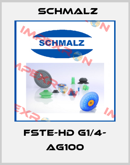 FSTE-HD G1/4- AG100 Schmalz