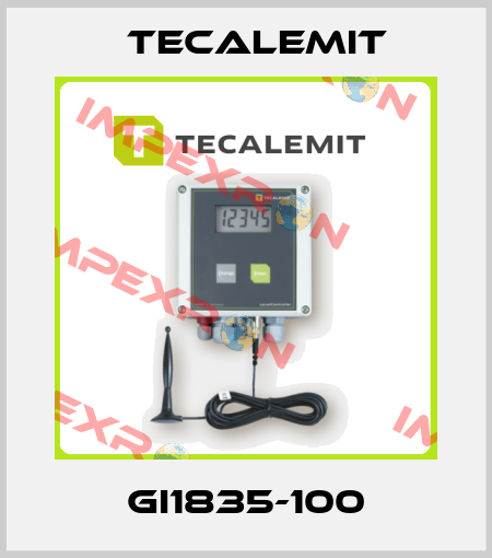GI1835-100 Tecalemit