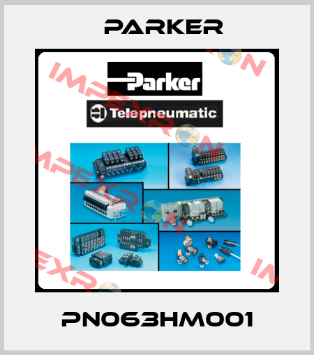 PN063HM001 Parker