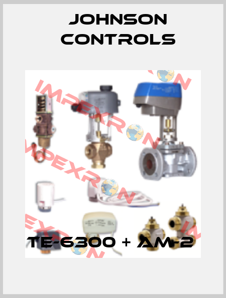 TE-6300 + AM-2  Johnson Controls