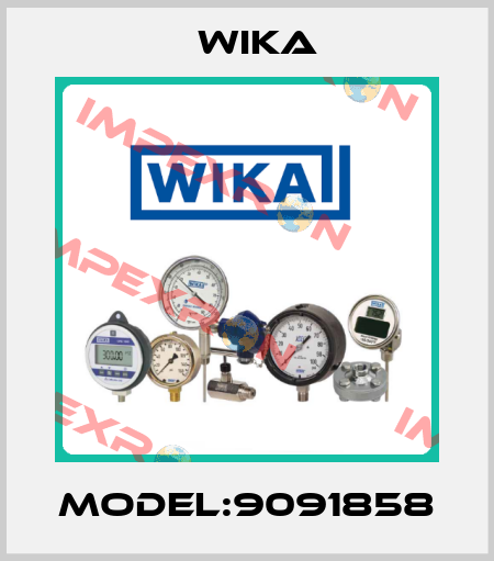 Model:9091858 Wika