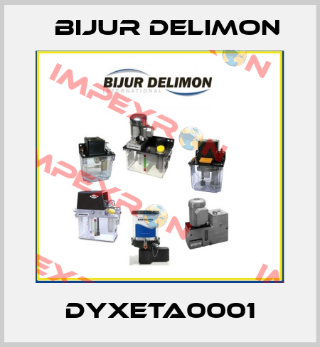 DYXETA0001 Bijur Delimon