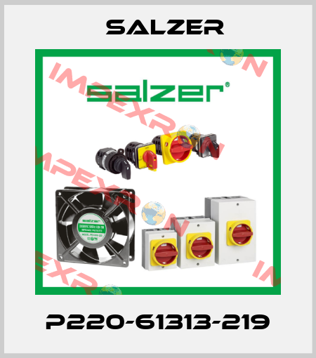 P220-61313-219 Salzer