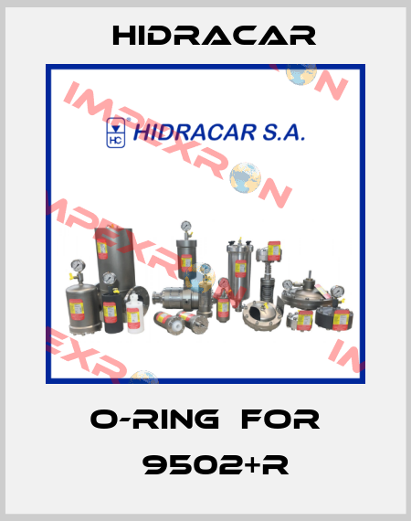 o-ring  for Р9502+R Hidracar