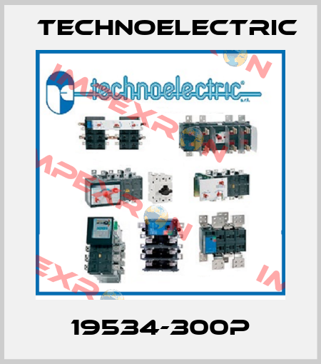 19534-300P Technoelectric