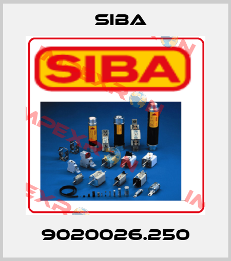 9020026.250 Siba