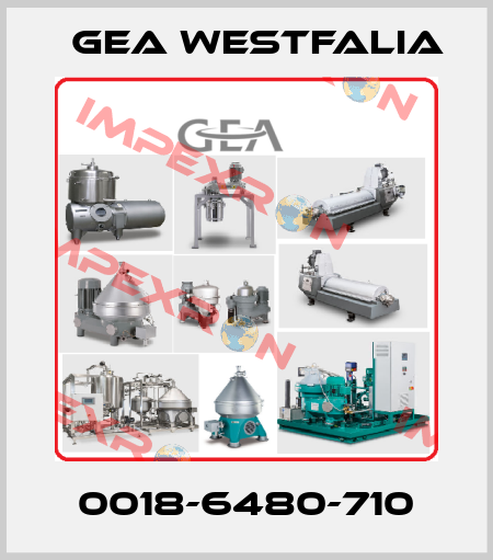 0018-6480-710 Gea Westfalia