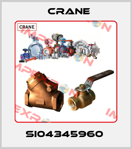 SI04345960  Crane