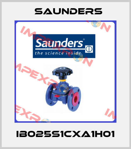 IB025S1CXA1H01 Saunders
