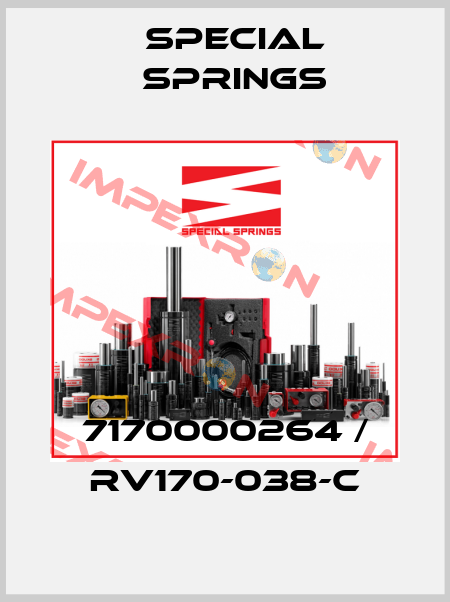 7170000264 / RV170-038-C Special Springs