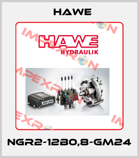 NGR2-12B0,8-GM24 Hawe