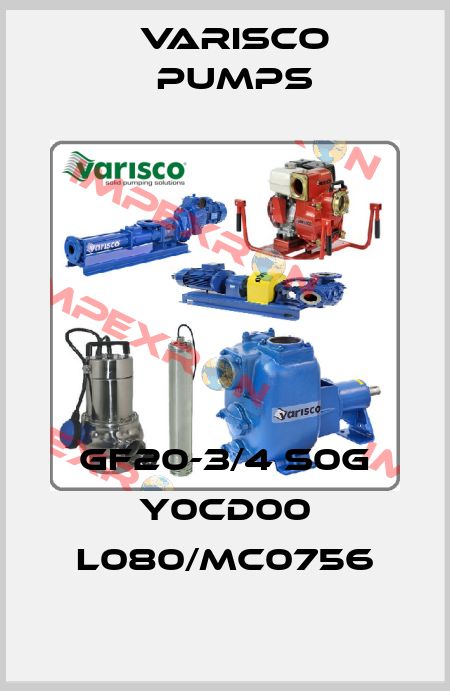 GF20-3/4 S0G Y0CD00 L080/MC0756 Varisco pumps