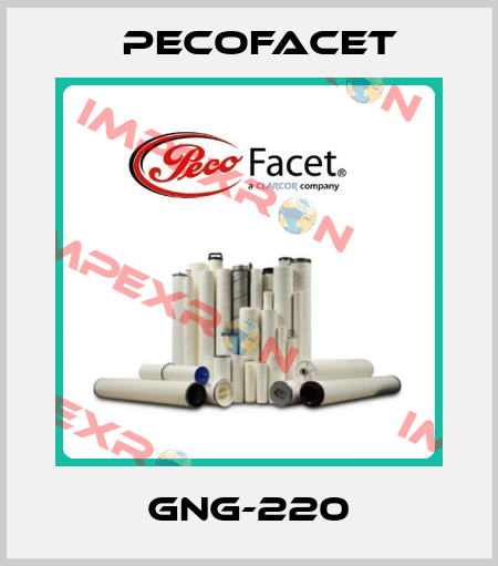 GNG-220 PECOFacet