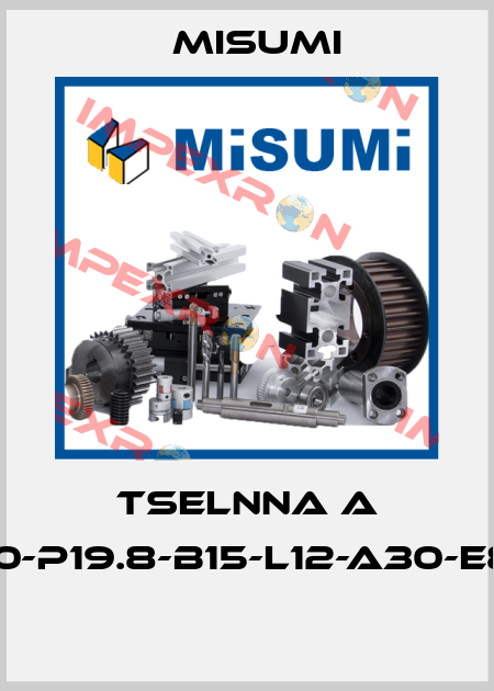 TSELNNA A 10-P19.8-B15-L12-A30-E8  Misumi