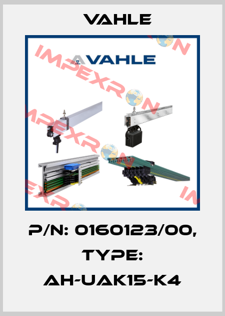 P/n: 0160123/00, Type: AH-UAK15-K4 Vahle
