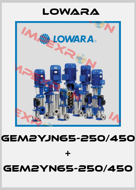 GEM2YJN65-250/450 + GEM2YN65-250/450 Lowara