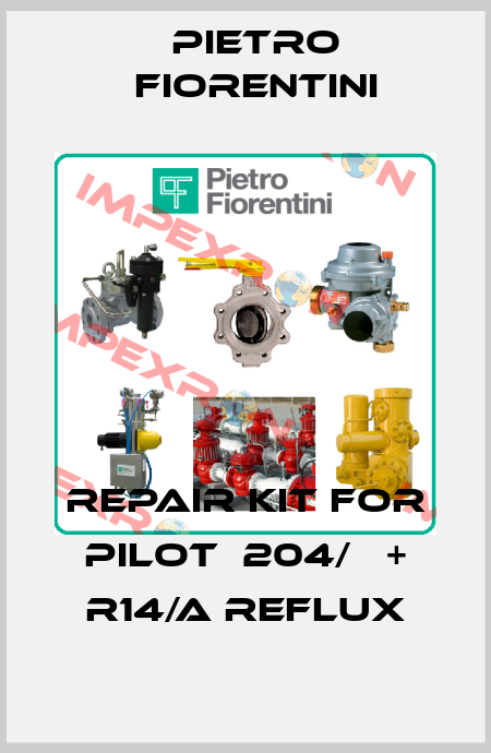 repair kit for pilot  204/А + R14/A REFLUX Pietro Fiorentini