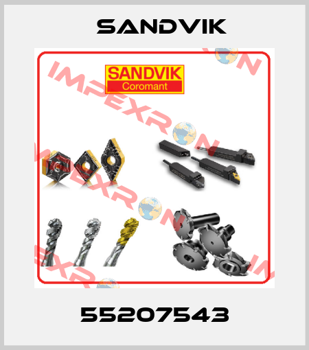 55207543 Sandvik