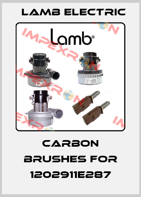 carbon brushes for 1202911E287 Lamb Electric