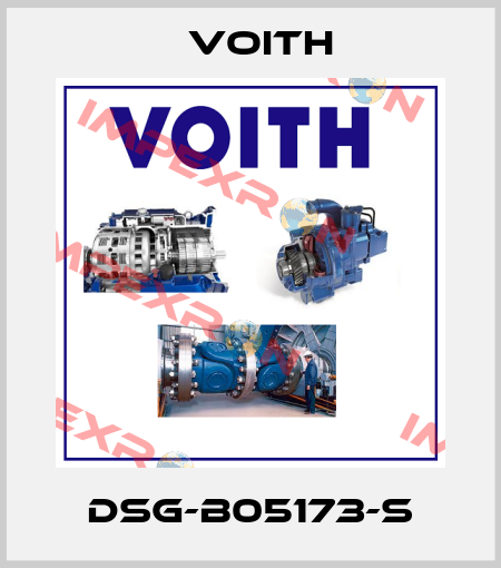 DSG-B05173-S Voith