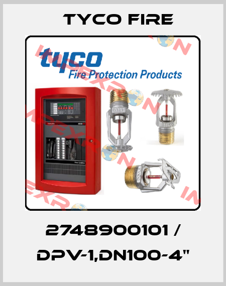 2748900101 / DPV-1,DN100-4" Tyco Fire