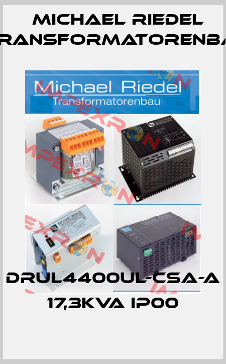 DRUL4400UL-CSA-A 17,3kVA IP00 Michael Riedel Transformatorenbau