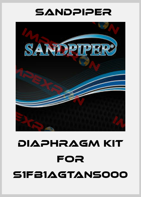 Diaphragm Kit For S1FB1AGTANS000 Sandpiper