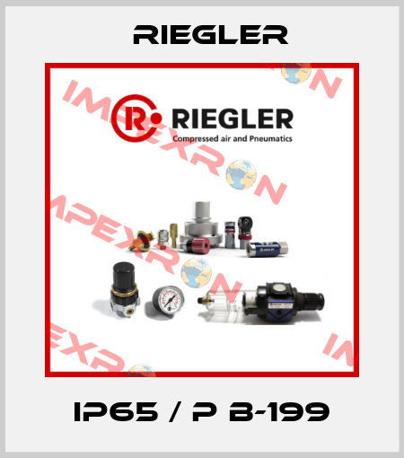 IP65 / P B-199 Riegler