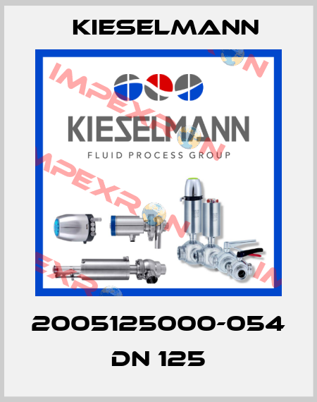 2005125000-054 DN 125 Kieselmann