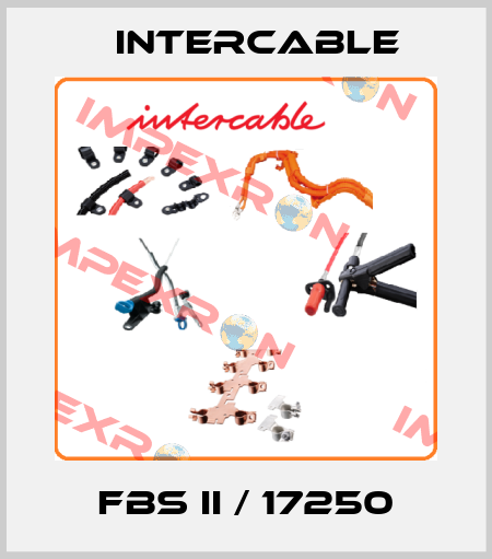 FBS II / 17250 Intercable