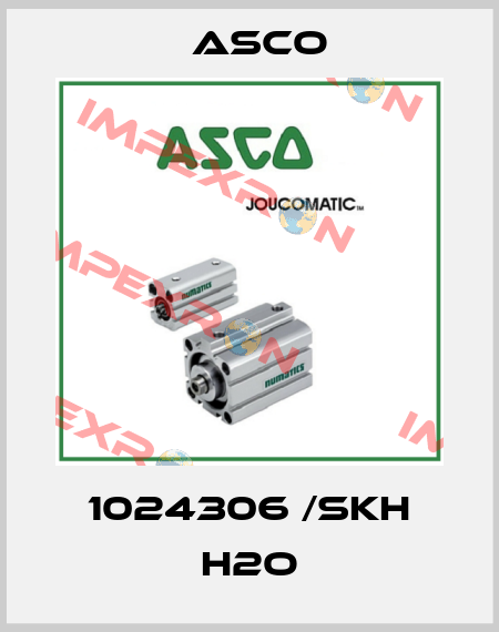 1024306 /SKH H2O Asco