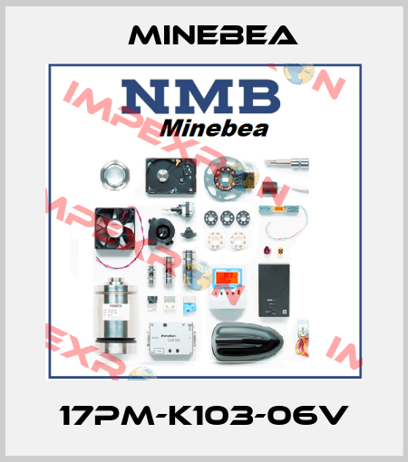 17PM-K103-06V Minebea