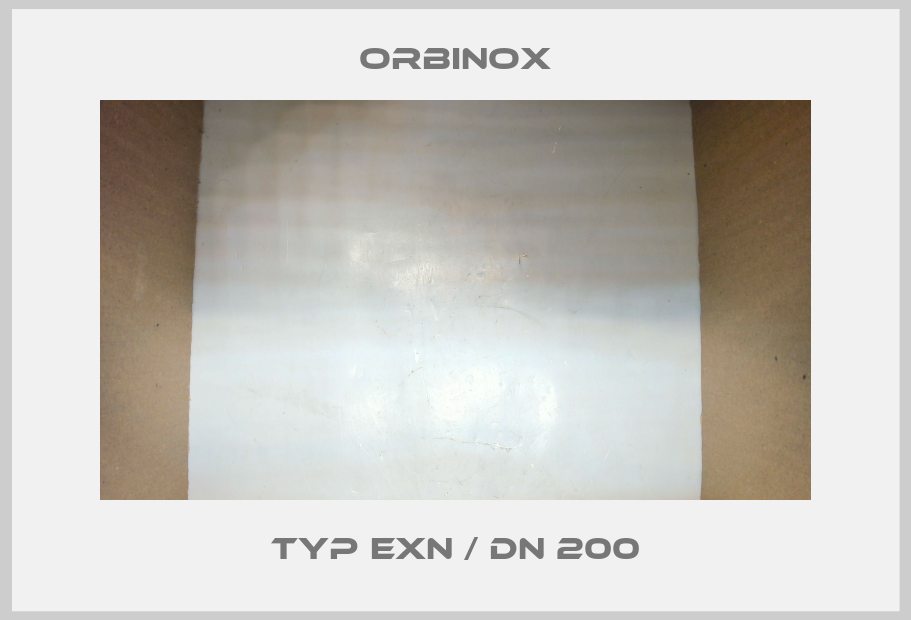 Typ EXN / DN 200 Orbinox