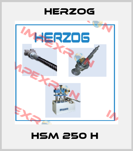 HSM 250 H  Herzog
