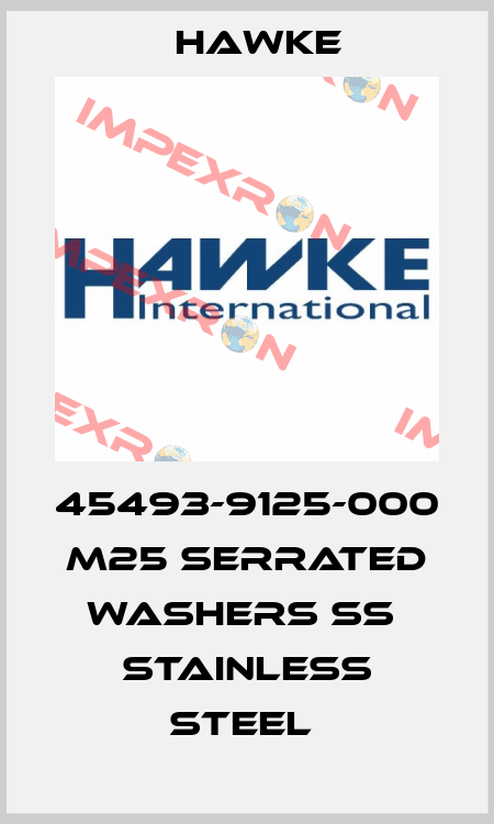 45493-9125-000  M25 Serrated Washers SS  Stainless Steel  Hawke