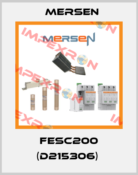 FESC200 (D215306)  Mersen