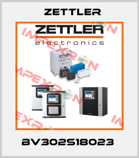 bv302s18023  Zettler