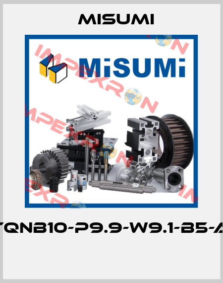LATQNB10-P9.9-W9.1-B5-A60  Misumi