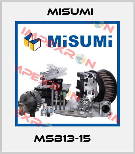 MSB13-15    Misumi