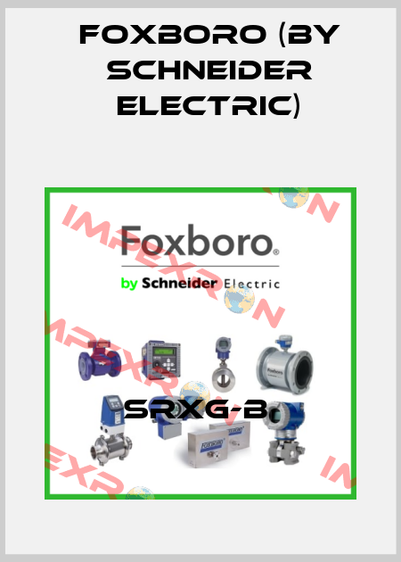 SRXG-B  Foxboro (by Schneider Electric)